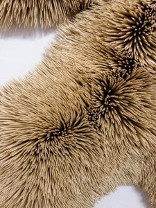 Chris Soalâ€™s First Solo Exhibition â€“ â€˜Orbits of Relatingâ€™ Opens at NO END Contemporary