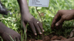 The Future, Now: Prince Williamâ€™s Earthshot Week Comes To Cape Town!