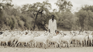 Katush Nairobi SS25â€™s Obsidian Dawn // The Black Bird A Kanga Collection